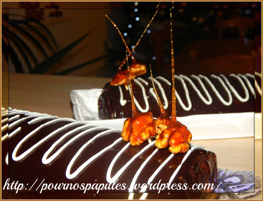 bûche au chocolat avec un glaçage miroir noir permettant un fini très design ... Un dessert parfait pour les fêtes ! 